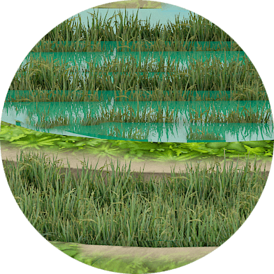 Plant community, Natural environment, Ecoregion, Green, Leaf, Rectangle, Botany, Sleeve