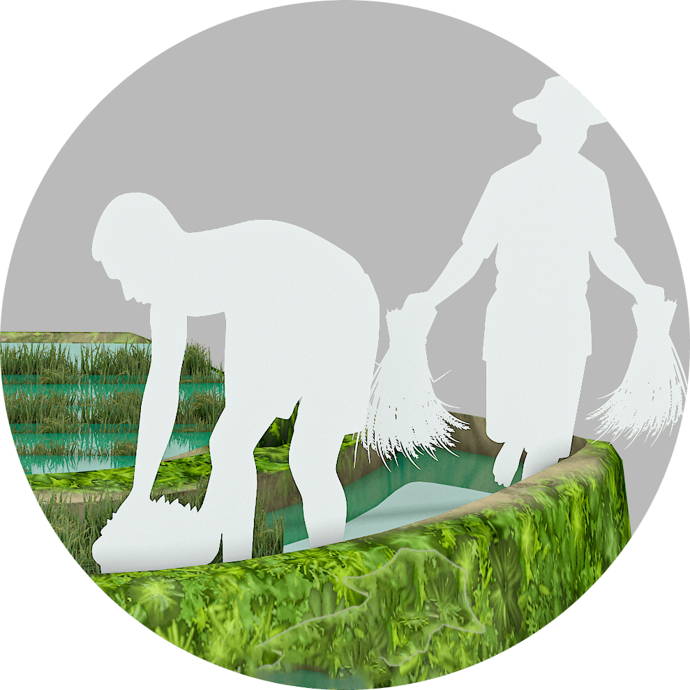 Working animal, Vertebrate, Leaf, Organism, Mammal, Tree, Grass, Vegetation, Plant, Biome