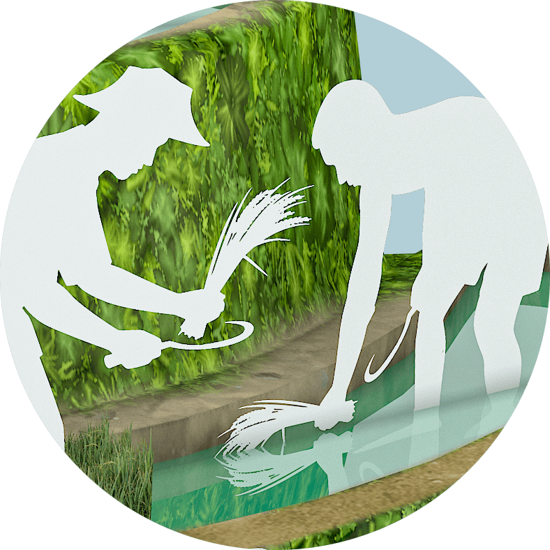 Natural environment, Woody plant, Leaf, Tree, Vegetation, Grass, Art