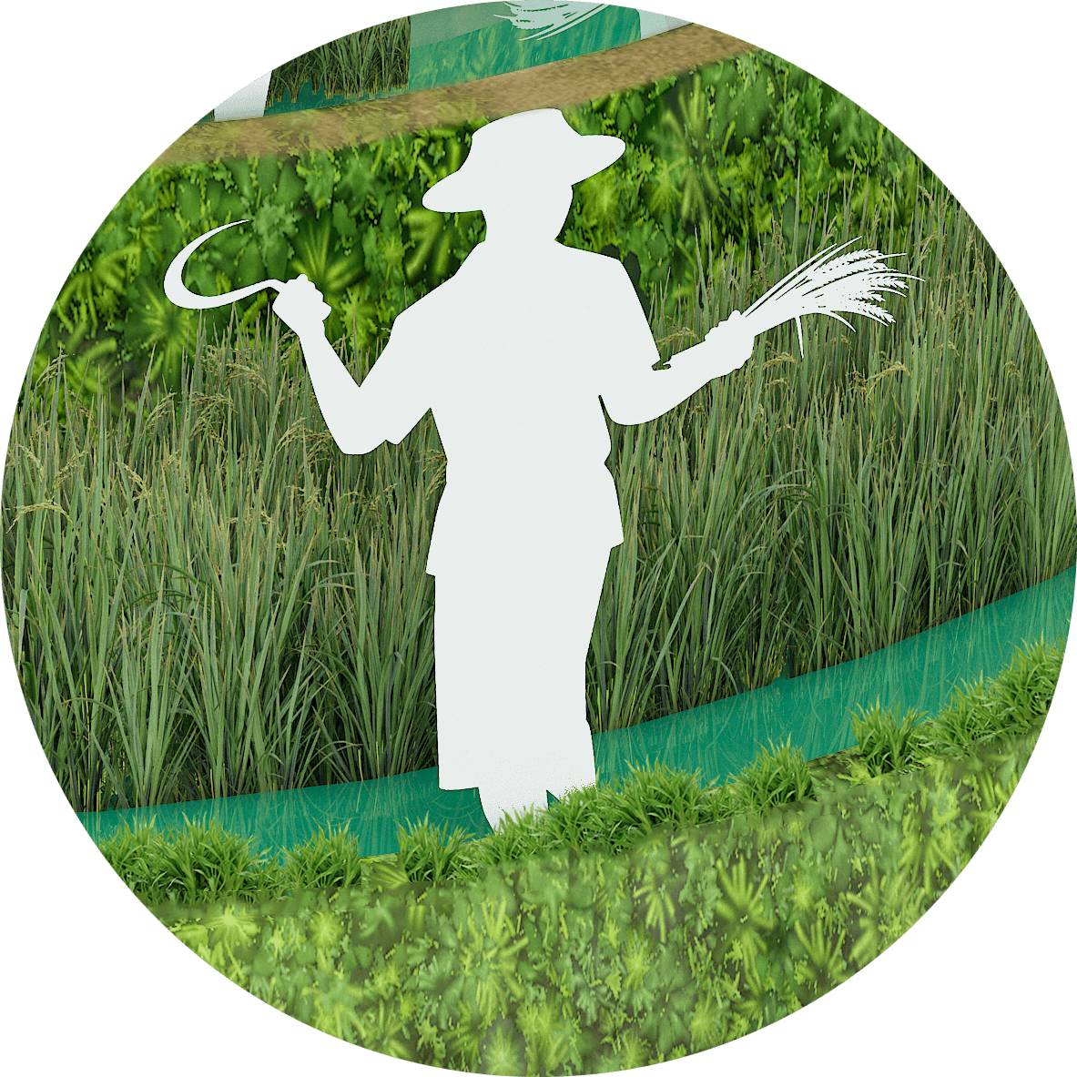 People in nature, Plant, Ecoregion, Green, Product, Botany, Sleeve, Rectangle, Gesture, Grass