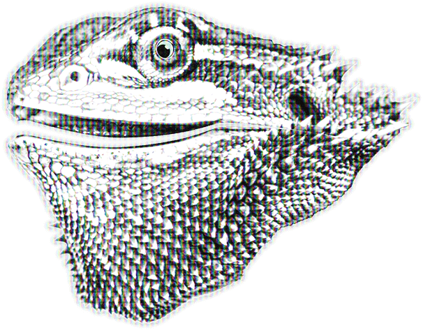 Grayscale bearded dragon head with chromatic aberration and pixel grid on black background.