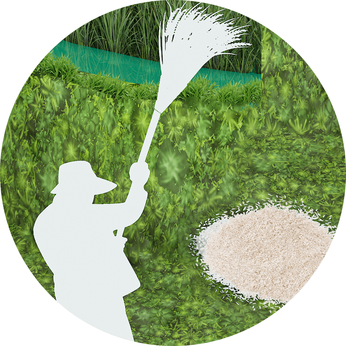 Terrestrial plant, Ecoregion, Organism, Tree, Vegetation, Grass, Map