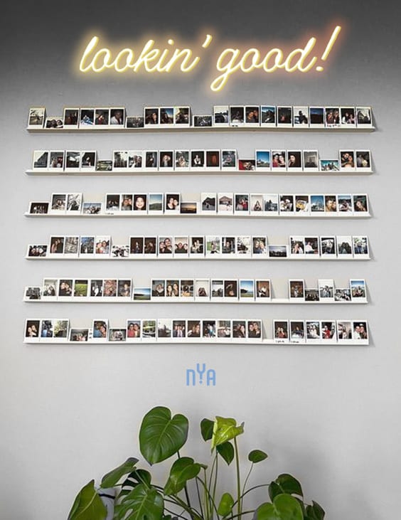 Plant, World, Font