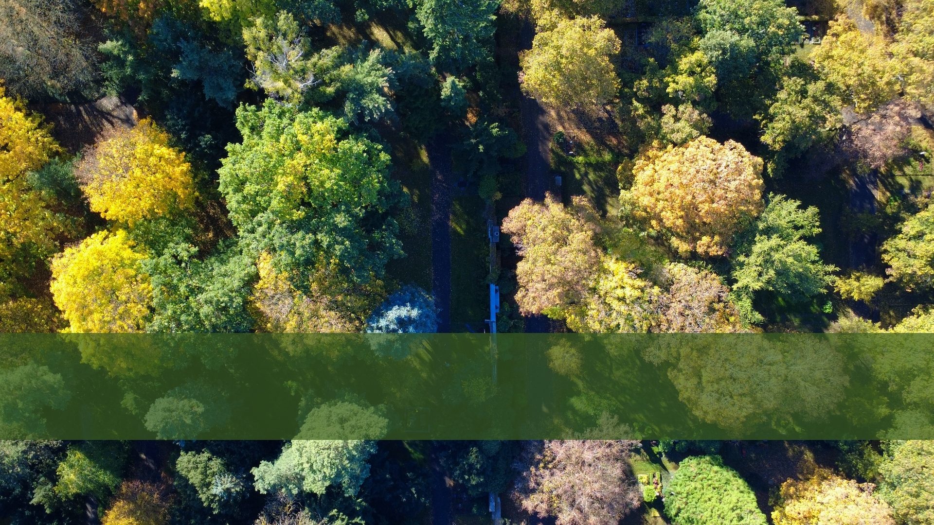 Aerial view of an autumn forest with green and yellow trees, partially obscured by a dark green bar.