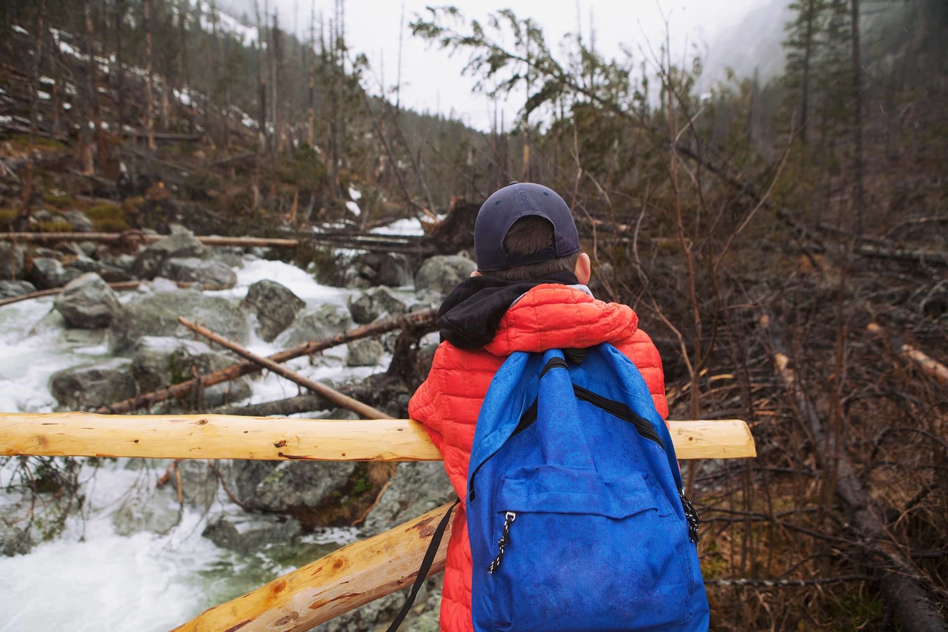 Luggage and bags, Outdoor recreation, Plant, Water, Sky, Mountain, Tree, Freezing, Lifejacket