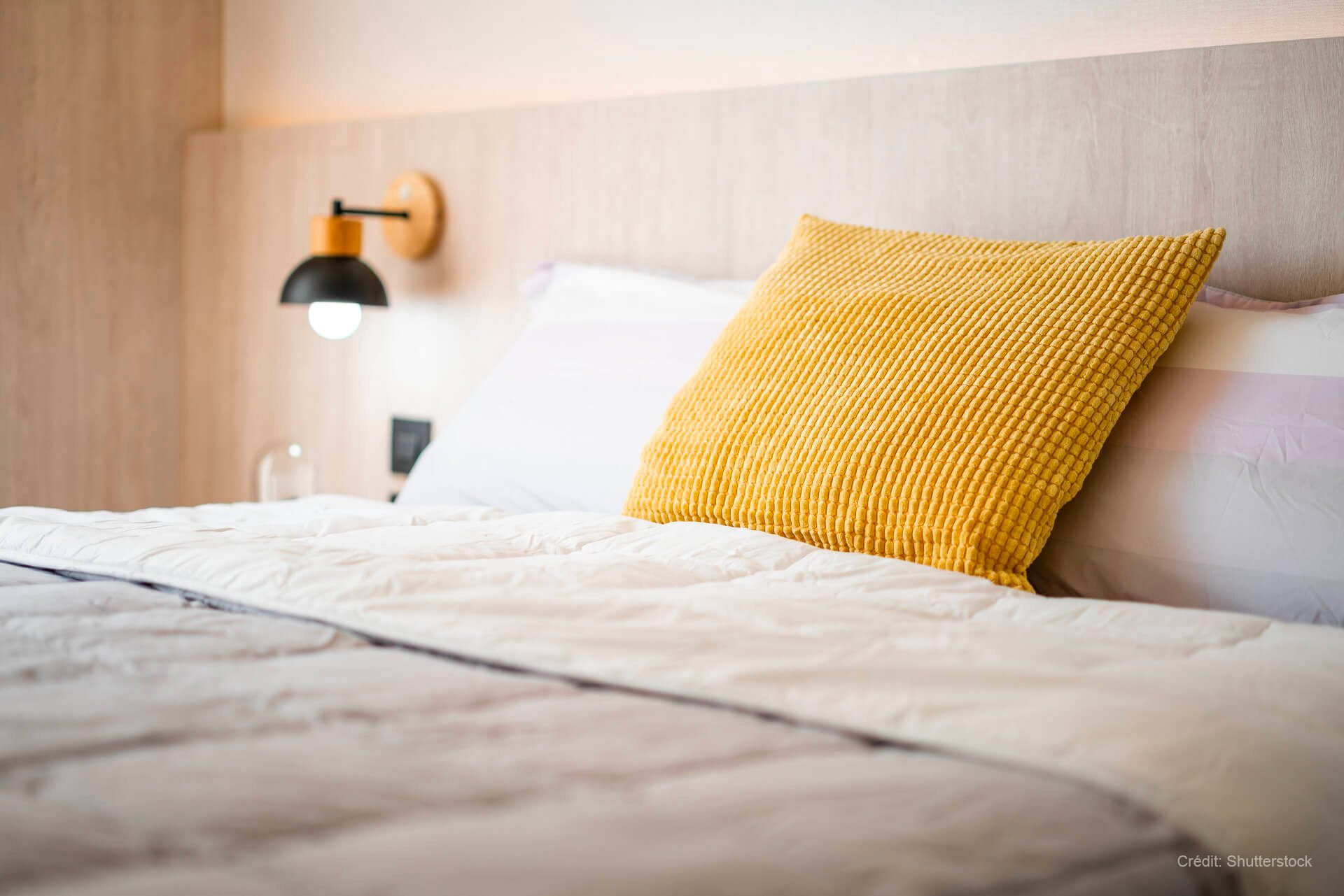 Bed frame, Interior design, Furniture, Comfort, Wood, Textile, Pillow, Orange, Floor