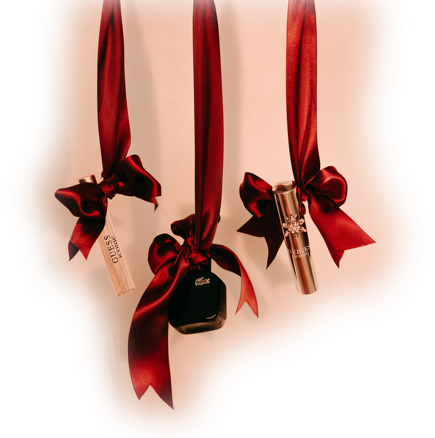 Creative arts, Christmas decoration, Plant, Petal