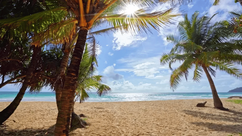 Coastal and oceanic landforms, Body of water, Blue, Sky, Beach, Daytime, Coast, Sea, Beauty, Sand