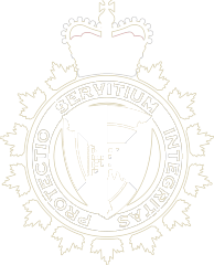 White, Black, Font, Sleeve, Emblem