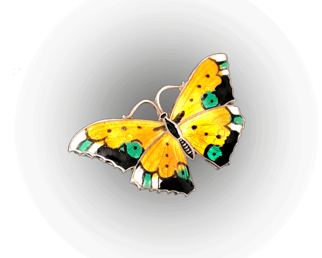 Moths and butterflies, Pollinator, Butterfly, Insect, Arthropod