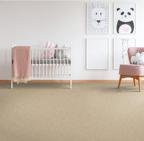 PET Premier Diffurent Choice I