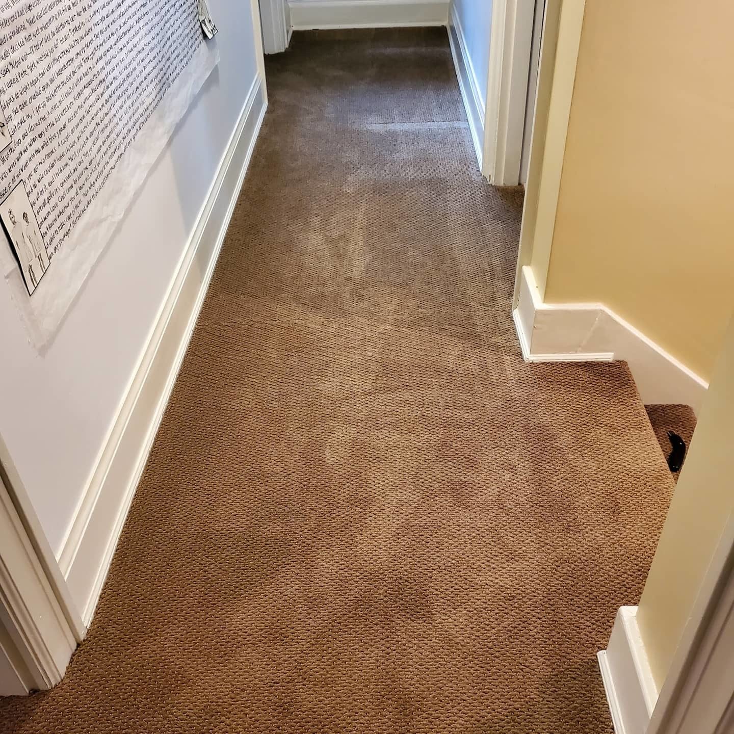 Wood stain, Material property, Brown, Floor, Fixture, Rectangle, Flooring, Beige