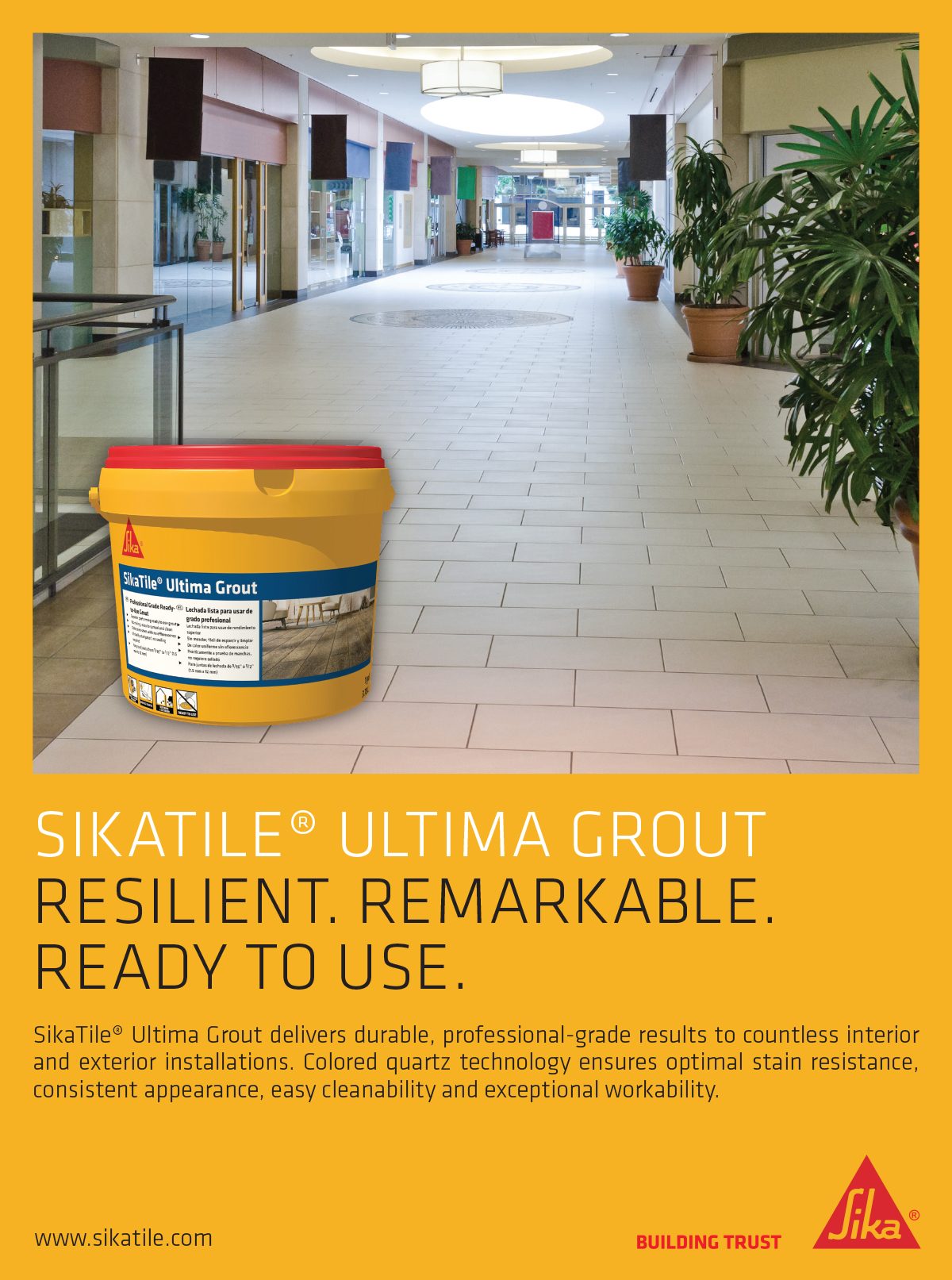Plant, Product, Flooring, Yellow, Floor