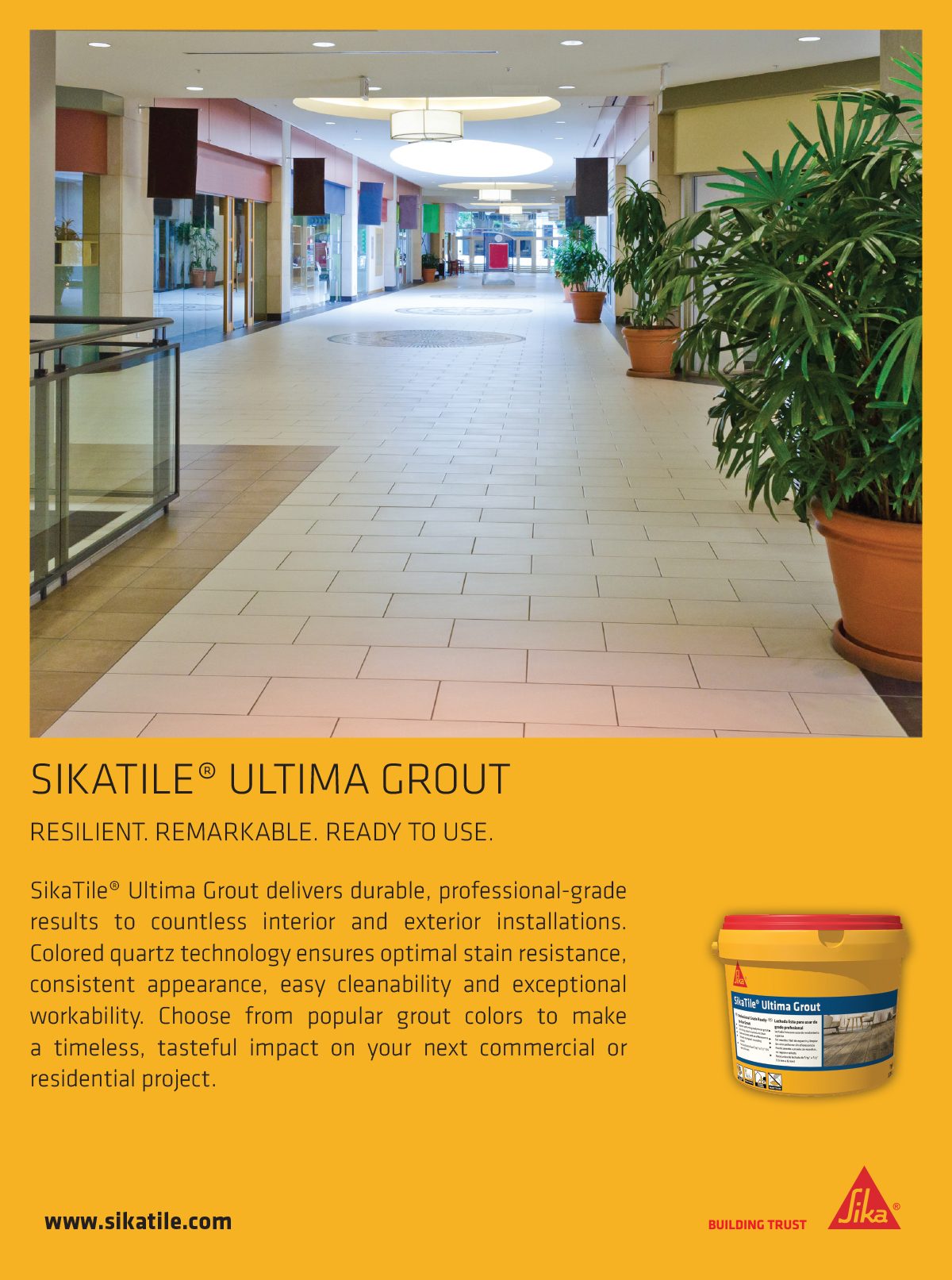Plant, Property, Houseplant, Flooring, Flowerpot, Floor, Line, Building