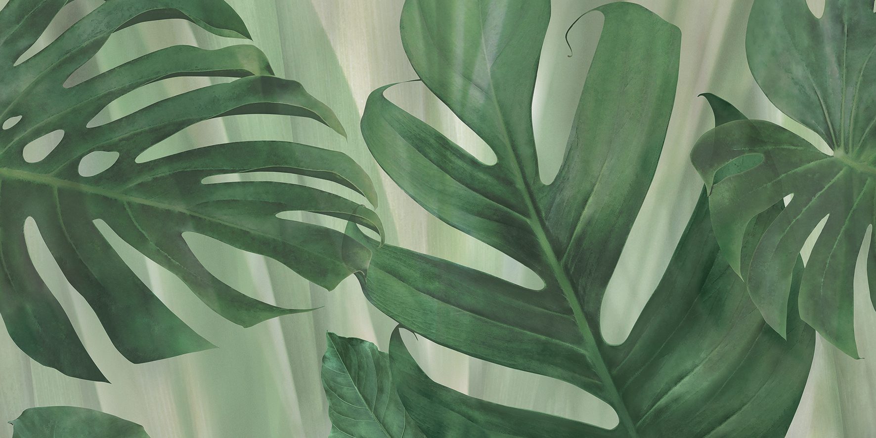 Terrestrial plant, Leaf, Botany, Branch, Organism