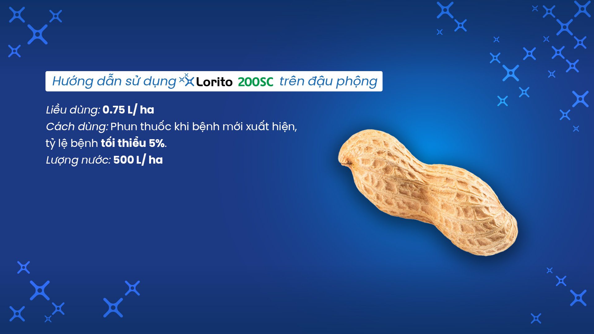 Instructions for using Lorito 200SC on peanuts, with dosage and application details.