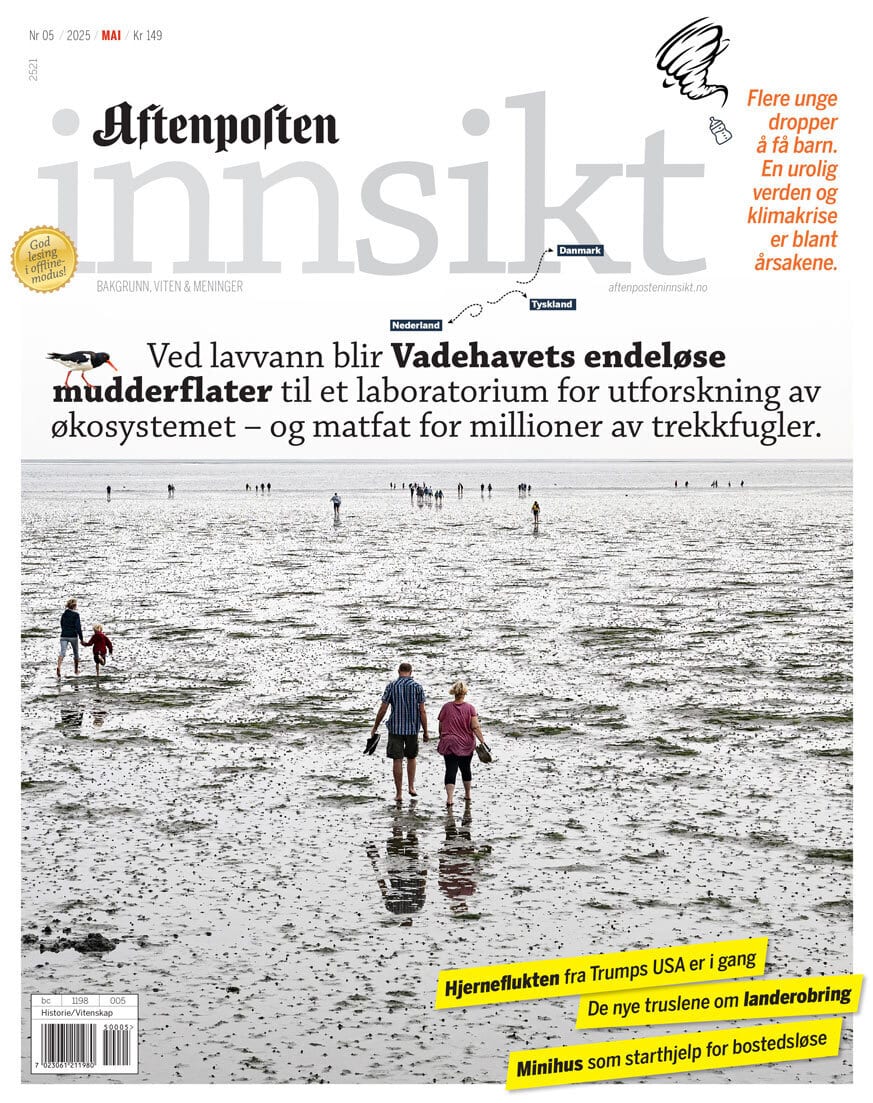 Aftenposten Innsikt cover: People on Wadden Sea mudflats, text on ecosystem research & bird feeding.