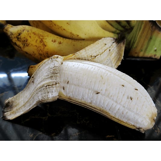 Natural foods, Staple food, Corn, Ingredient