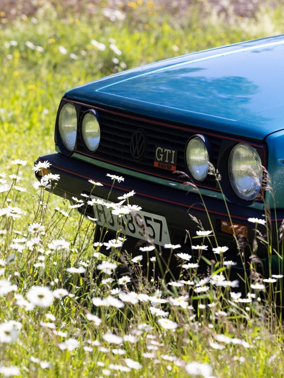 Vehicle registration plate, Automotive lighting, Plant, Tire, Grille, Hood, Car
