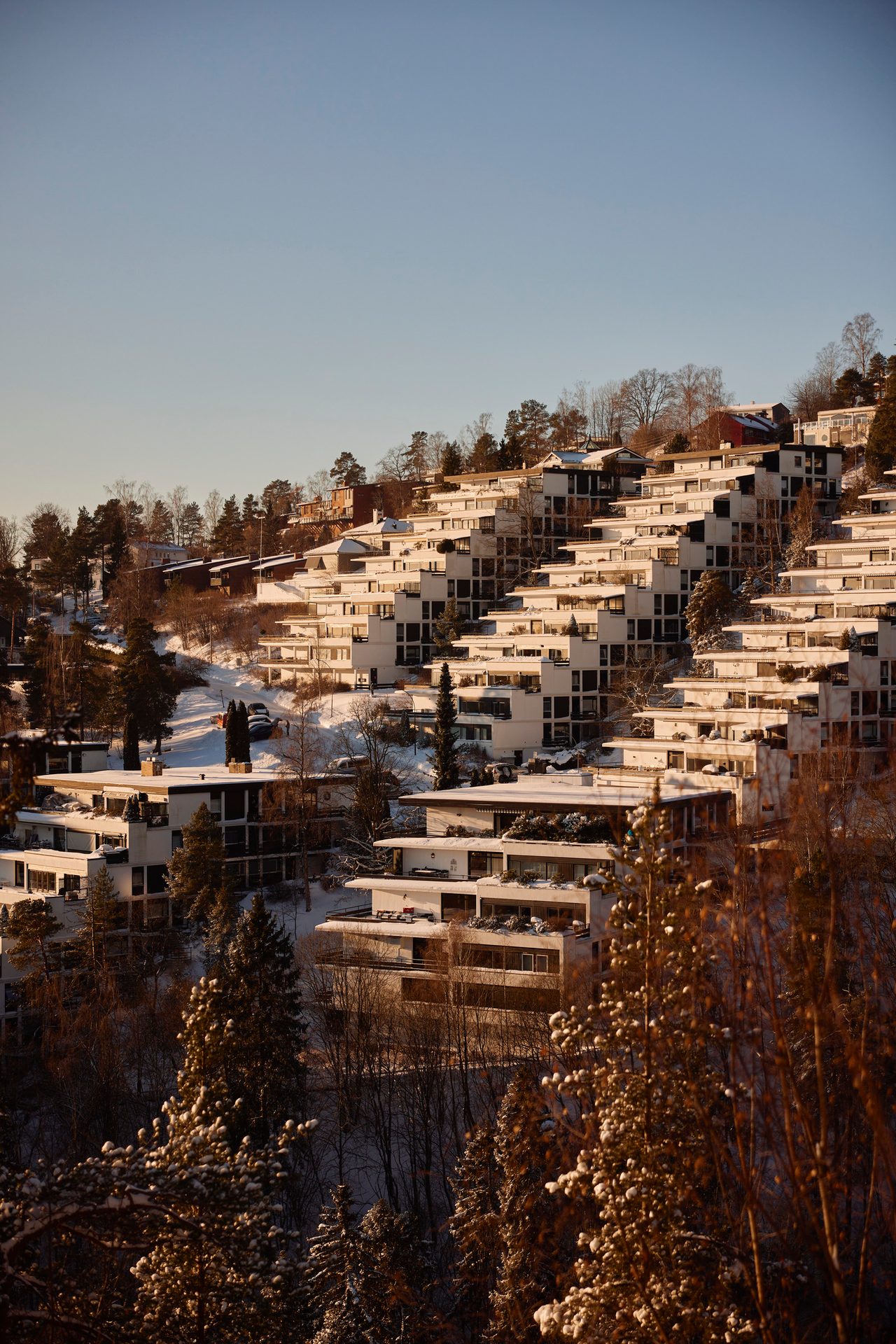 Natural landscape, Residential area, Sky, Building, Tree, Wood, Freezing, Snow