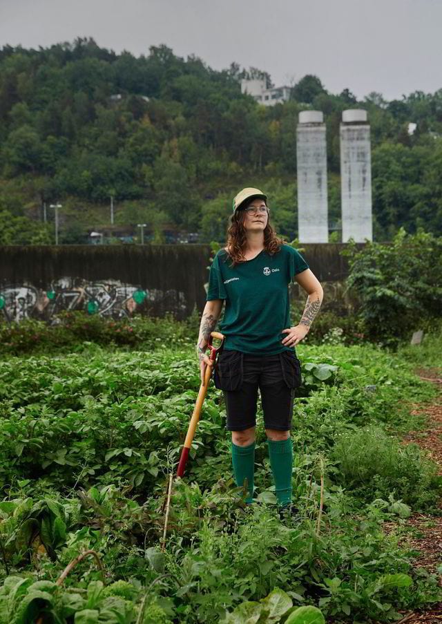 People in nature, Plant, Shorts, Grass