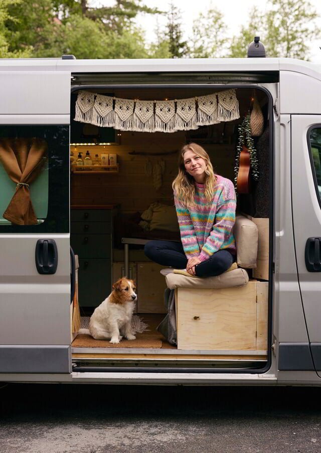 Motor vehicle, Automotive exterior, Dog, Smile, Carnivore