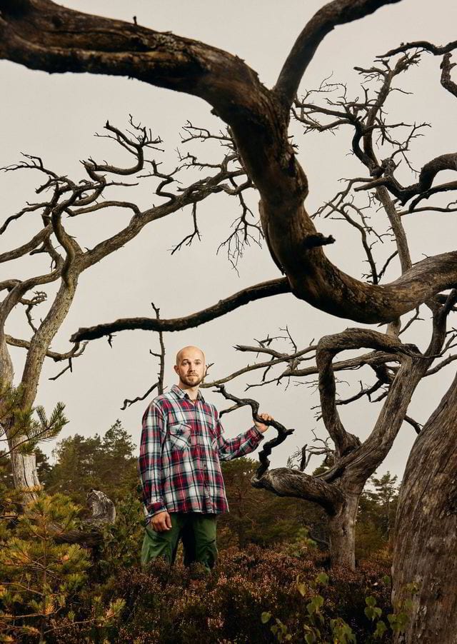 People in nature, Plant, Sky, Vertebrate, Botany, Tree, Branch, Twig, Wood, Tartan