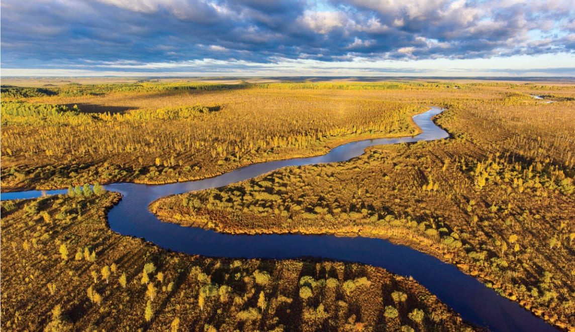 Fluvial landforms of streams, Water resources, Plant community, Natural landscape, Cloud, Sky, Ecoregion, Vegetation