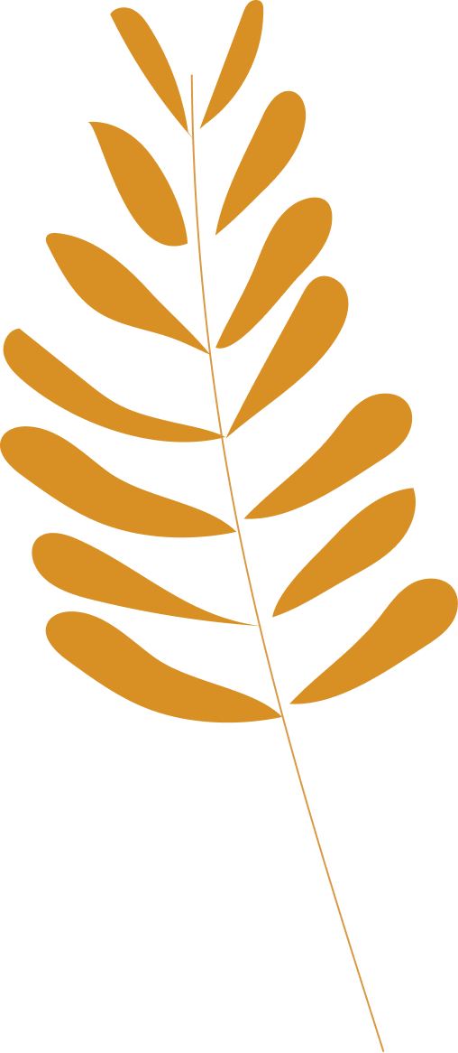 Plant, Leaf, Gesture, Art, Tree, Font