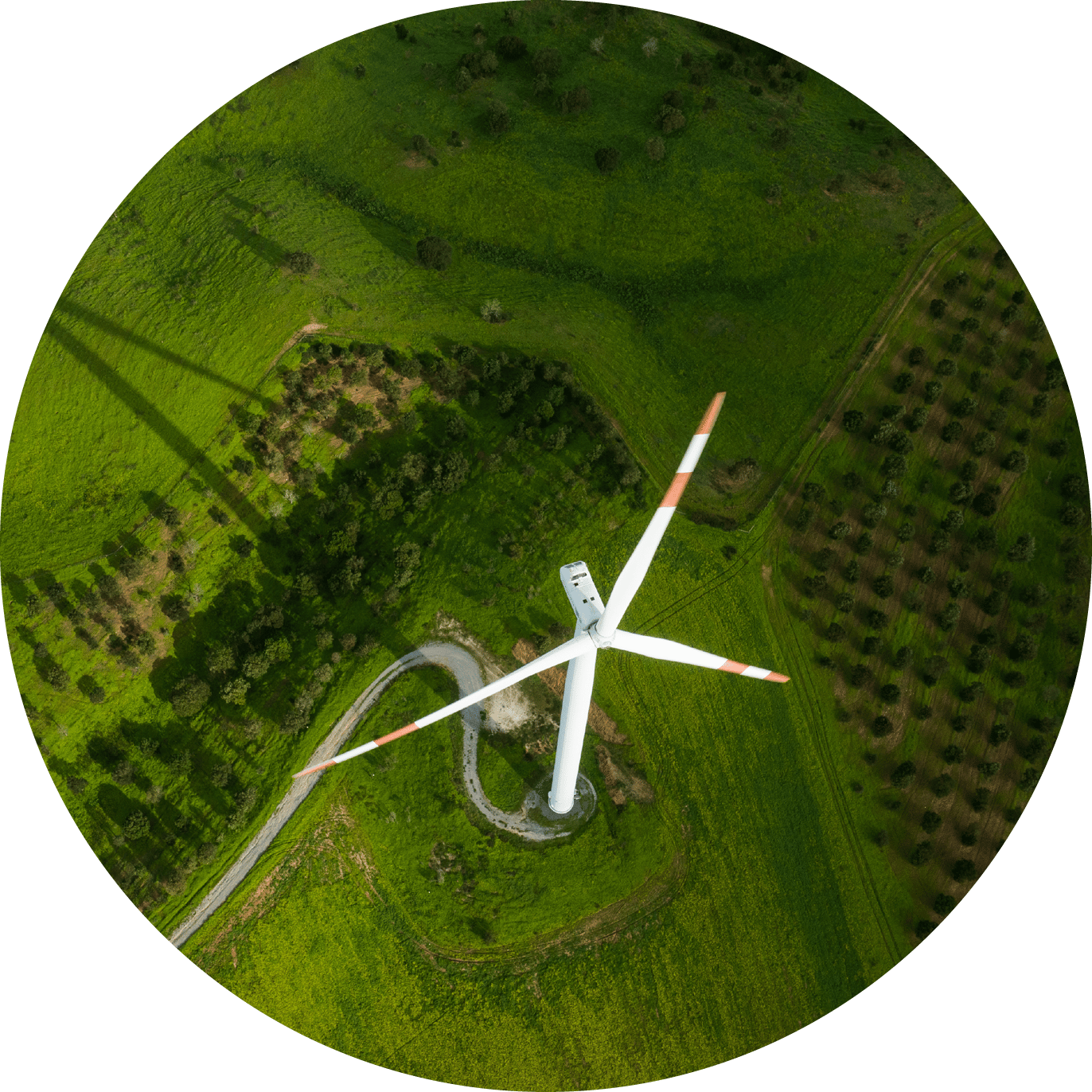 Land lot, Terrestrial plant, Slope, Grass