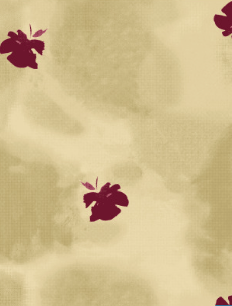 Flower, Botany, Petal, Nature, Sky, Plant, Organism, Pink, Sunlight, Red