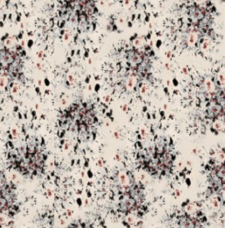 Abstract speckled pattern of black, gray, and reddish spots on a cream background.
