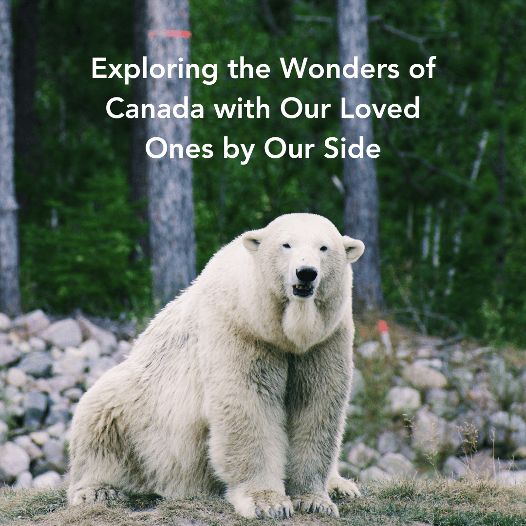 Polar bear, Carnivore, Biome