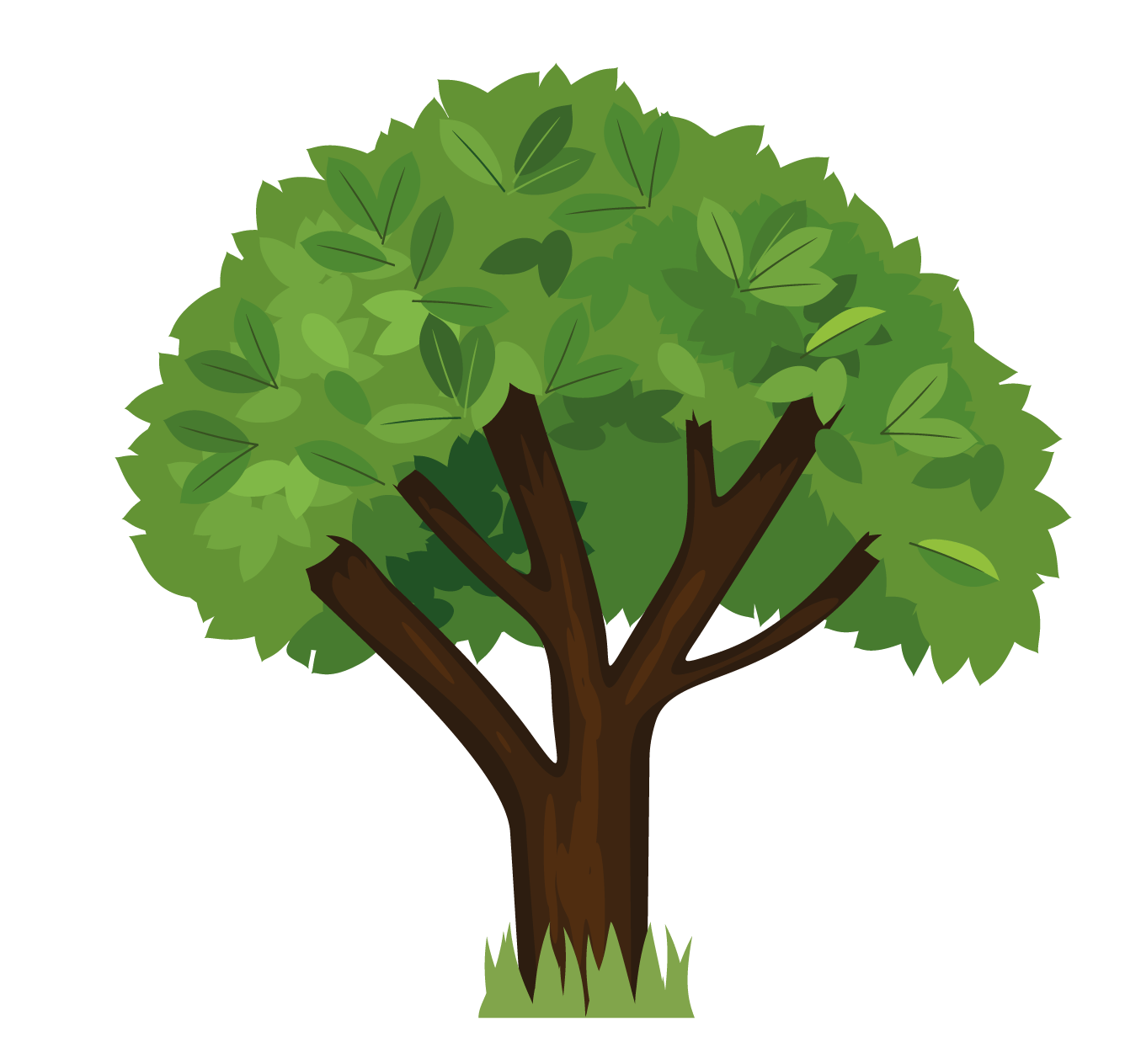 Terrestrial plant, Leaf vegetable, Flowerpot, Tree, Botany, Branch, Trunk