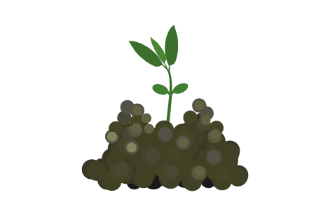 Terrestrial plant, Flowerpot, Houseplant, Fruit, Gesture, Tree