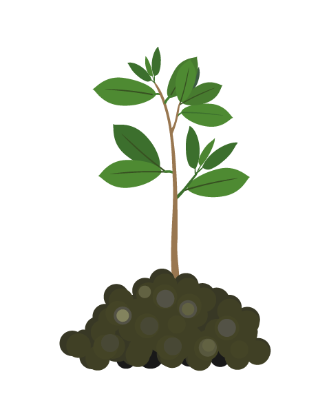 Terrestrial plant, Organism