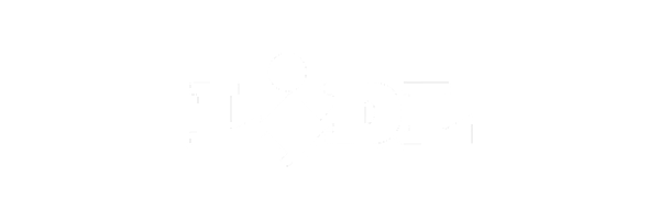 White Lidl logo with stylized 'i' on green background.