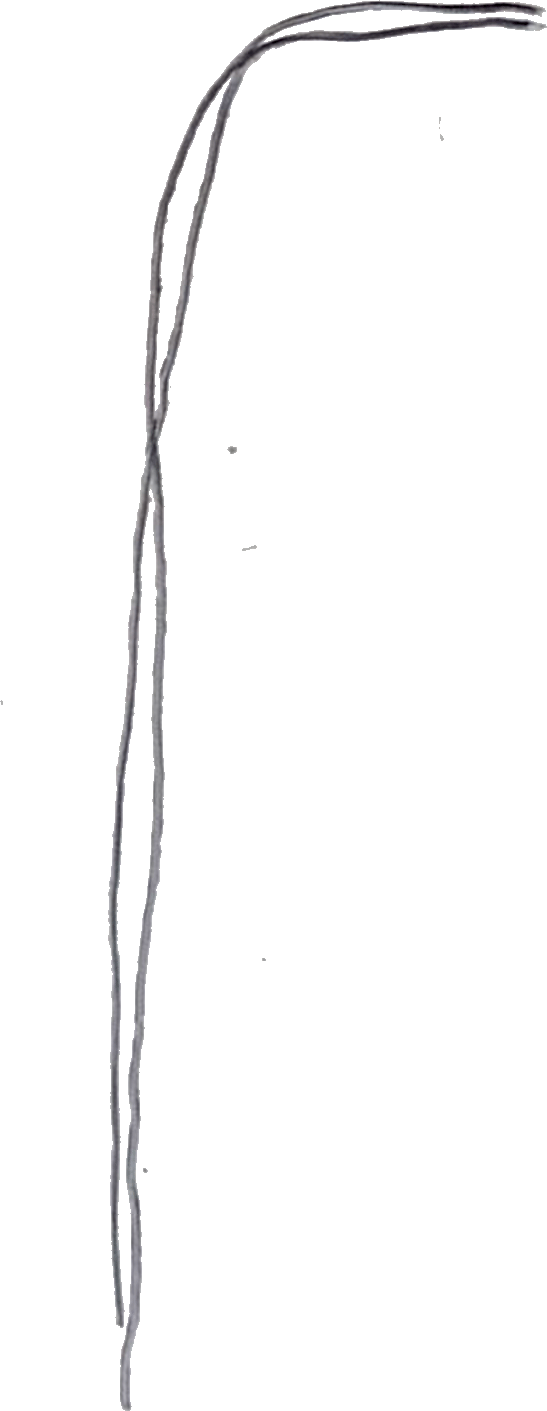 A pair of thin, dark, squiggly lines forming a hook shape, vertical on the left, curving across the top.