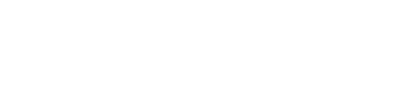 Bolt cms logo with a hexagonal nut icon.