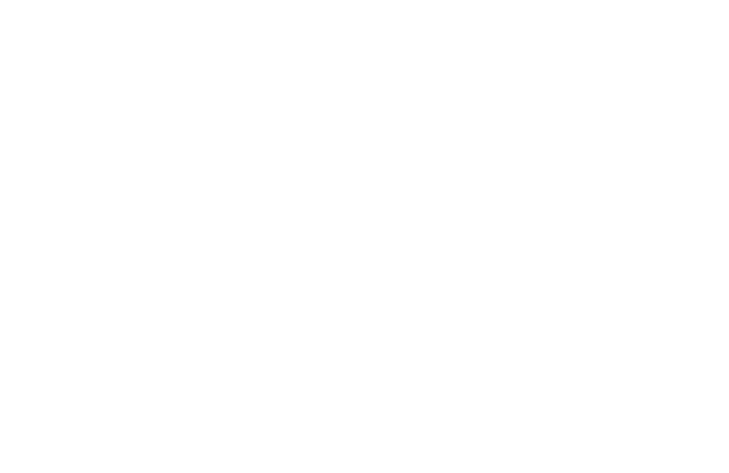 White 'V' and 'E' letters on a dark green background.