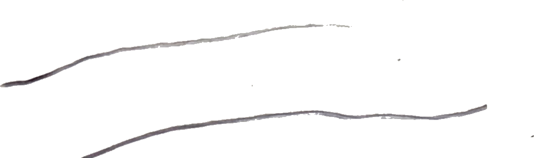 Two wavy, dark grey lines traverse a white background, one in the upper and one in the lower half.