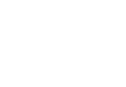 White large 'V', small 'V', and lowercase 'e' on a dark green background.