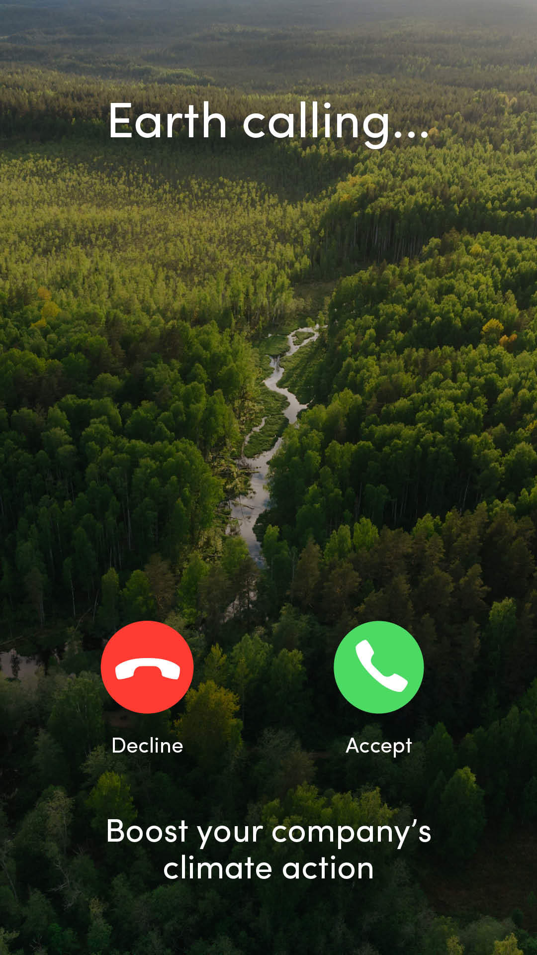 Plant community, Natural landscape, Ecoregion, Light, World, Nature, Organism