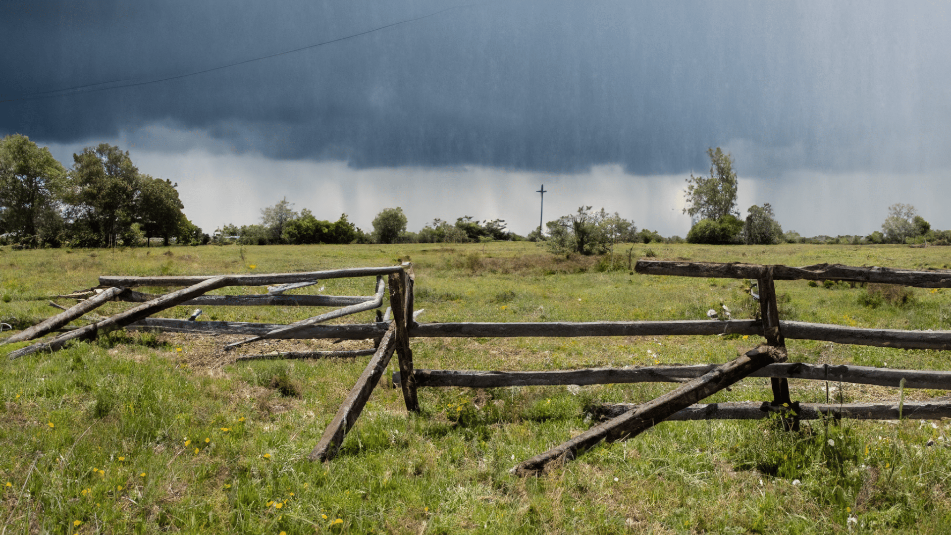 Natural landscape, Land lot, Cloud, Plant, Ecoregion, Sky, Tree, Wood, Fence