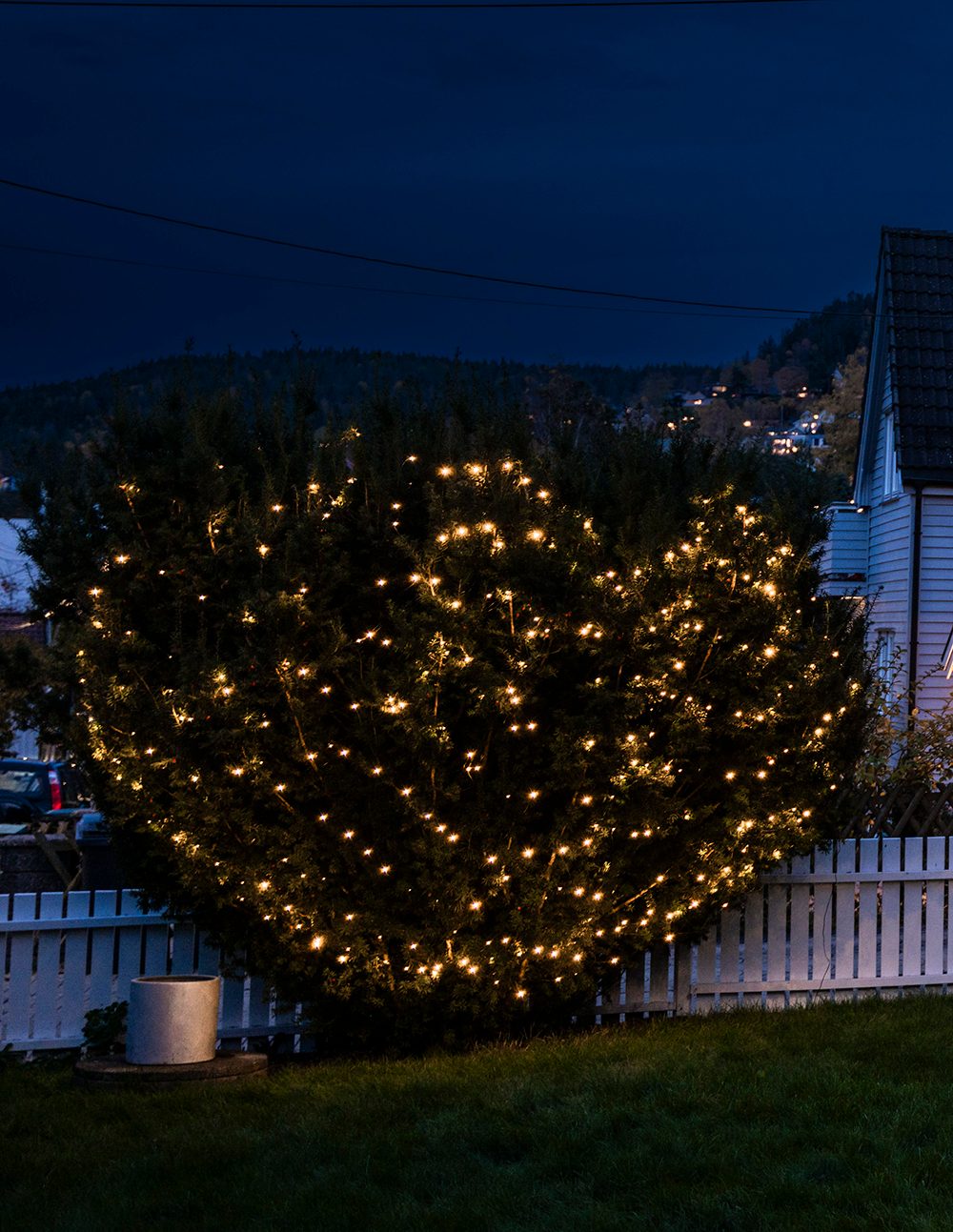 Street light, Christmas decoration, Plant, Sky, Electricity