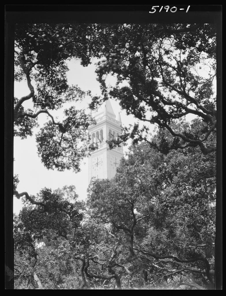 Natural landscape, Tower, Building, Tree, Plant, Rectangle, Black-and-white, Trunk, Skyscraper, Sky