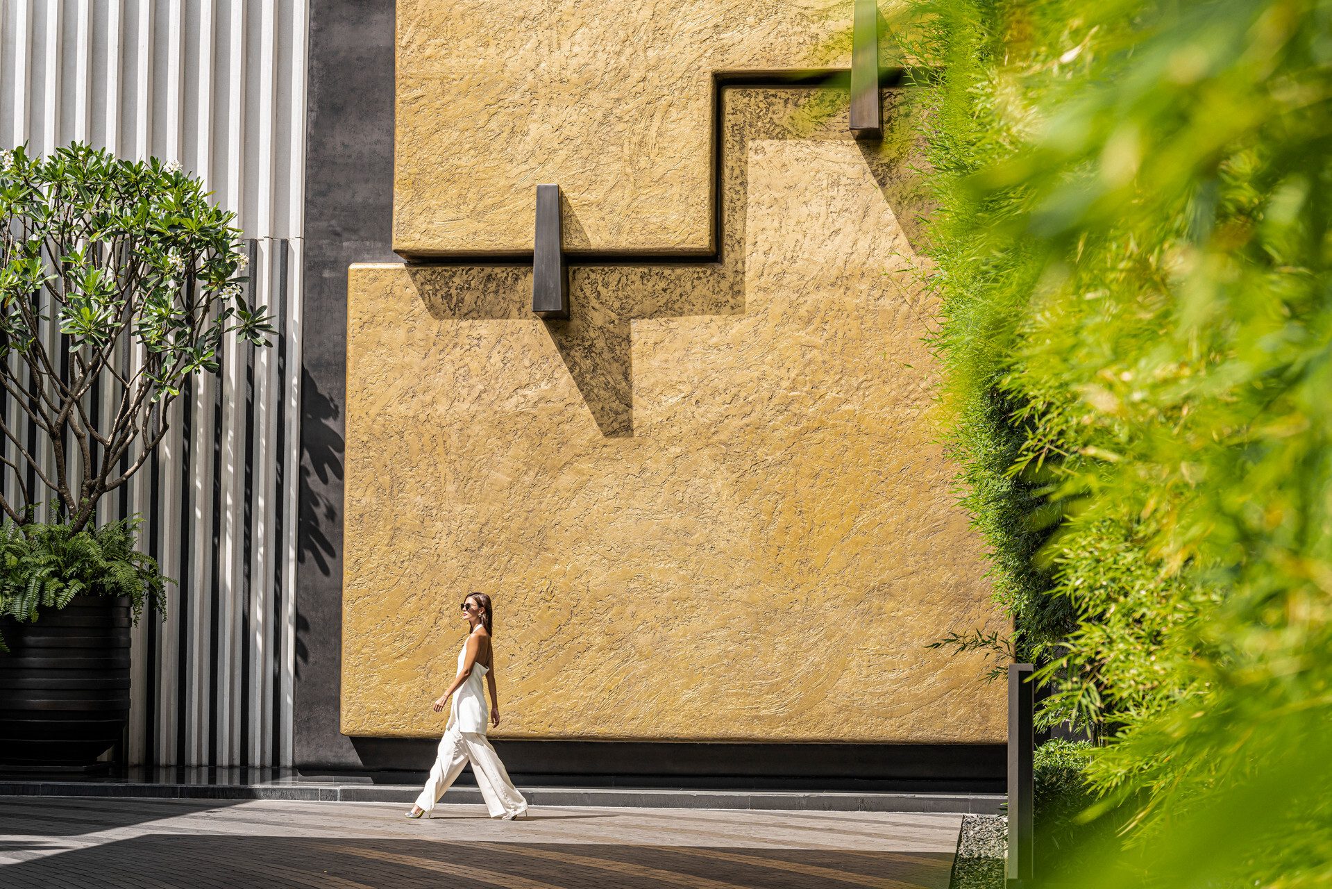 Road surface, Plant, Green, Leaf, Architecture, Wood, Dress, Rectangle, Line, Wall