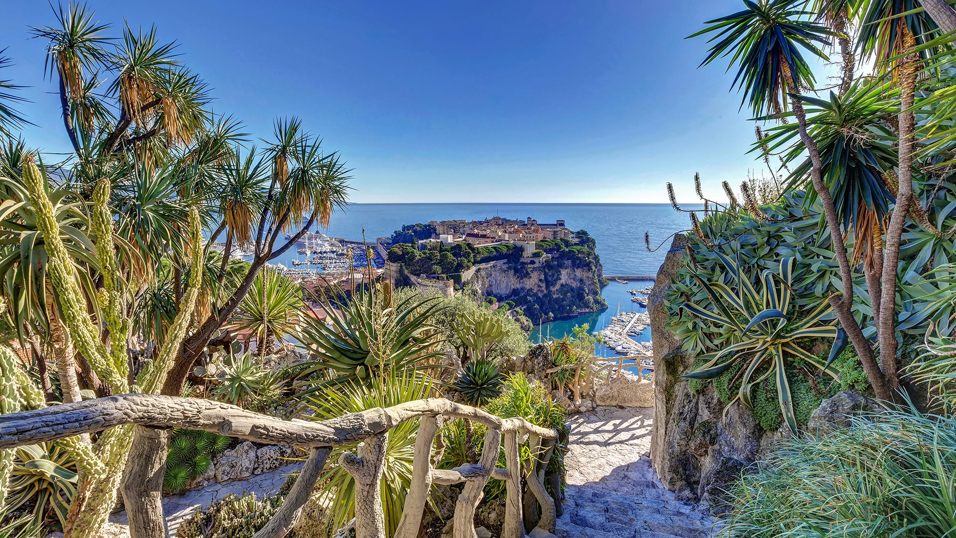 Body of water, Plant community, Natural landscape, Sky, Azure, Arecales, Vegetation