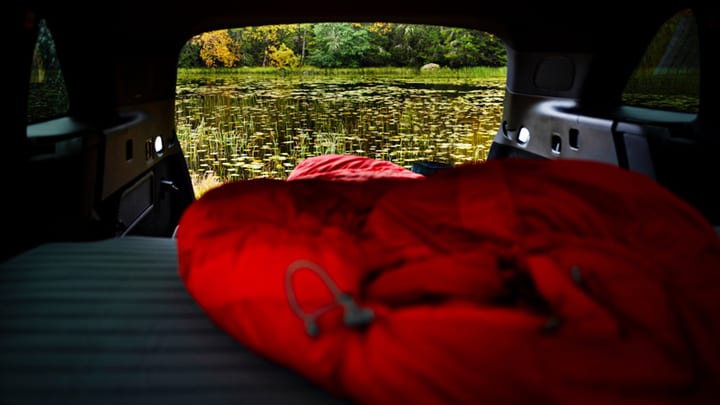 Red sleeping bag in car trunk overlooks a lake with lily pads and trees.
