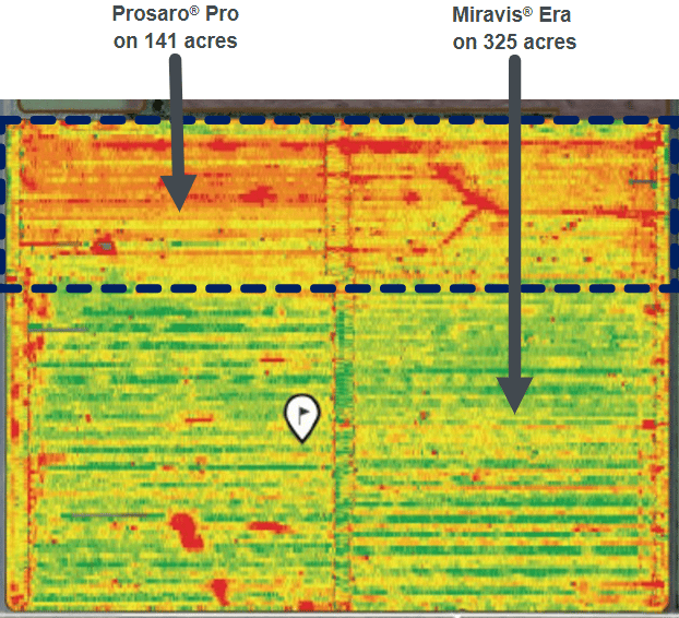 NVDI shows Miravis Era treated wheat is greener